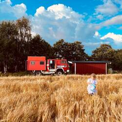 Ein Bett im Kornfeld