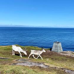 Besuch auf dem Breitengrad 71° 11' 08''