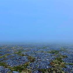 Ich hatte kurz Panik, weil ich nicht wusste, ob ich mein Zelt tatsächlich wiederfinden werde.