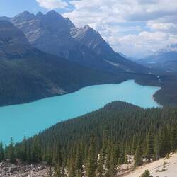 Sicht auf Lake Peyto - da werden wir später Eisbaden gehen :)