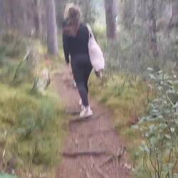 Auf dem Weg zu Lake Peyto zum eiskalten "Baden"