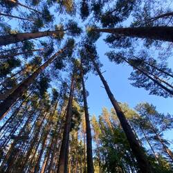 Aussicht heute Abend aus unseren schlafplatz
