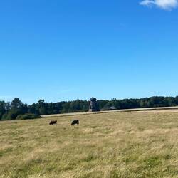 Windmühle welche Lena in ihrer Karte angezeigt wurde
