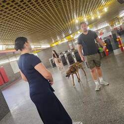 Metro- Zugang
