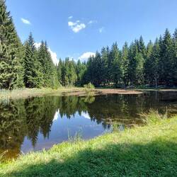 Der Preißhausteich!