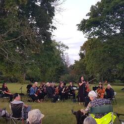 das Orchester