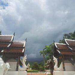 Thailands König hat sich geehrt