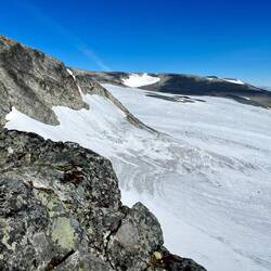 ..hat es sich dann mit den Pflanzen.
