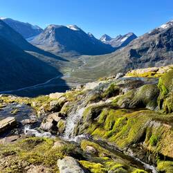 Direkt am Wasser befinden sich bemooste Flächen.