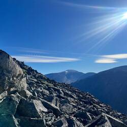 ..Großteil der Pflanzenwelt.