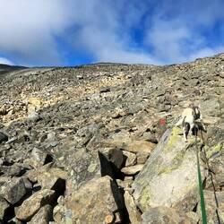 Schnell endet aber die Lebenswelt für den..