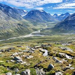 ..auch ein paar Rentiere finden sich ein wenig bergauf.