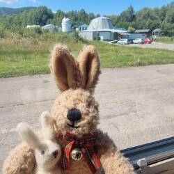 Felix hat einen neuen Freund🐇