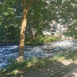 Spree