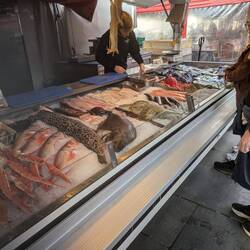 The vibrant fish market at the harbor