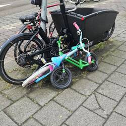Even the tiny guys ride