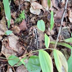 ...ein bisschen Wildlife...