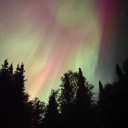 Hendriks iPhone macht bessere Bilder (nur, wenn man es im hellen anschaut, sonst überbelichtet)