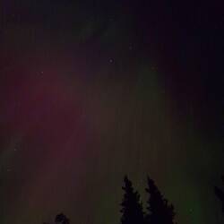 Der Kölner Dom in Licht gehüllt (kann man besser anschauen, wenn das Licht aus ist)