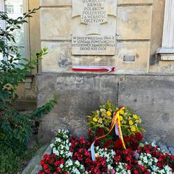 Hospital where 430 patients were executed rather than evacuated