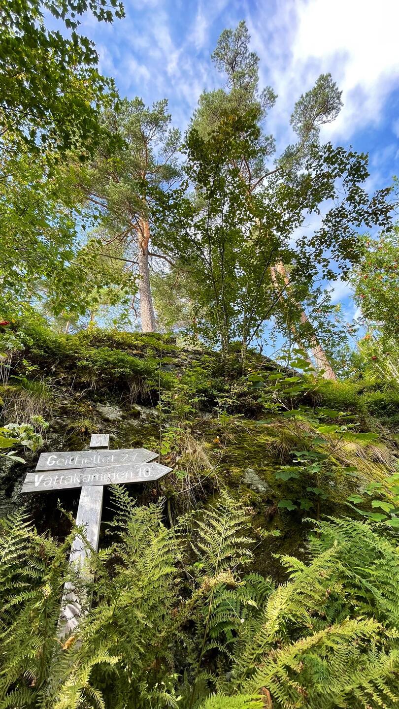 beide Gipfel will ich besteigen: Våttakammen + Geitfjellet