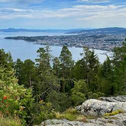 der Mühe Lohn: Blick über Fjord + Trondheim