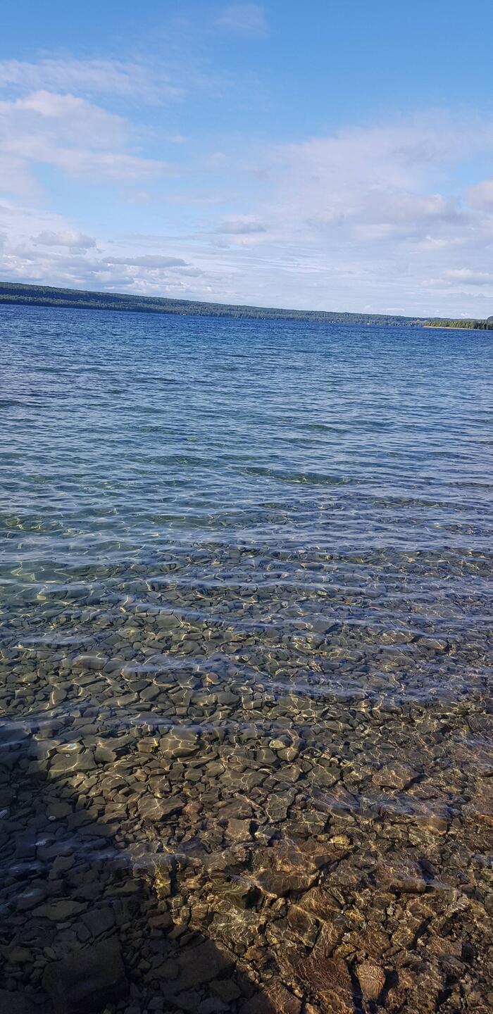 super klares Wasser im Hope Bay (beim Sommerhaus/cottage)