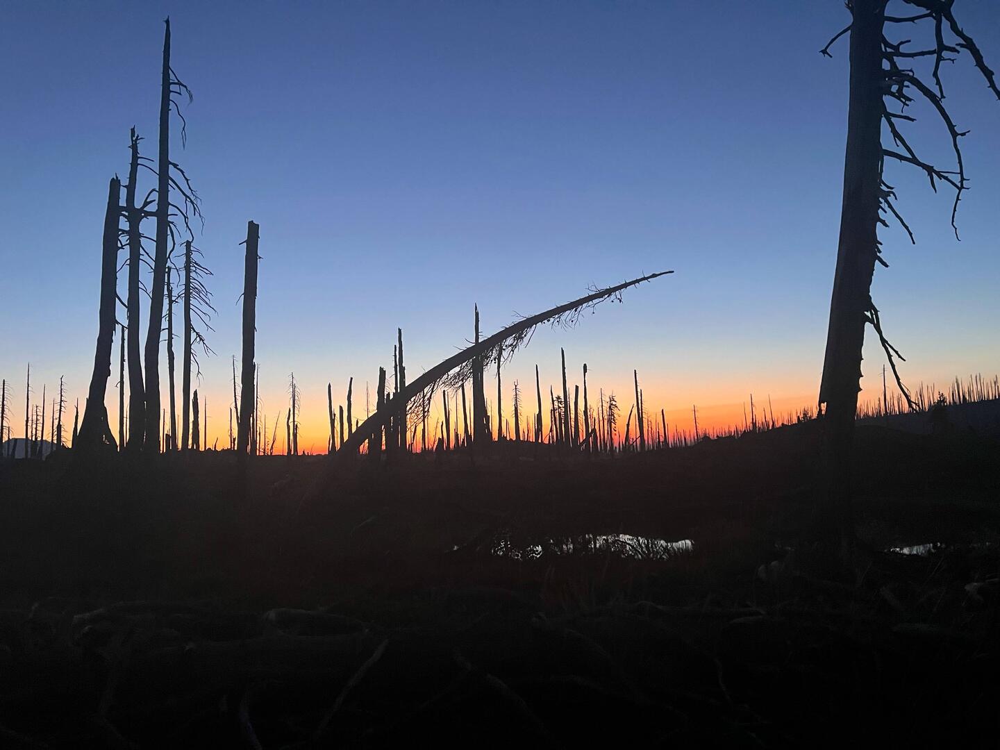 Sonnenaufgang aus dem Zelt beobachten