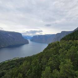 Angekommen an der Aussichtsplattform 💪