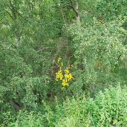 Der Herbst ist hier zeitig dran🙈