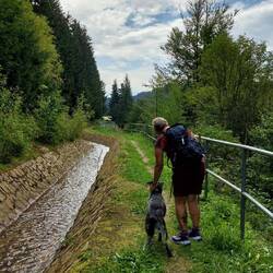 Dieser kleine Hanggraben....