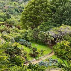 Giardino Botanico