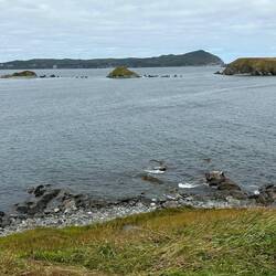 What a great view to enjoy during lunch!