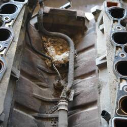 Wir hatten einen blinden Passagier und eine Maus hat ein Nest auf dem Motor gebaut!