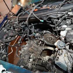 So sieht Schlumpf aus ohne den riesigen V8 4.6l Motor.