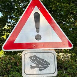 I München har frøer deres eget vejskilt👍🏻