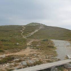 Lillnipen