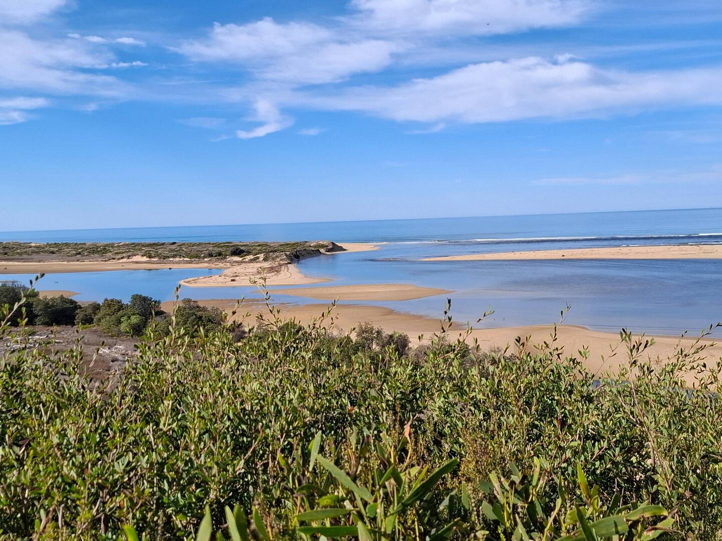 Mouth of the Snowy River
