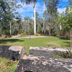 Goongerah picnic/camping ground maintained by locals