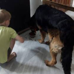 ... und Schäferhund Imli