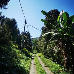 Zu einer kleinen Wanderung 🌴🪴