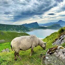 Die haben einen Ausblick 😍