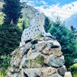 Leopardo delle nevi, uno dei simboli del Kirghizistan