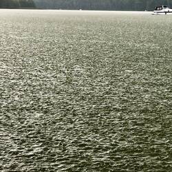 Dann kam der Regenschauer