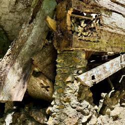 Wenn die Särge verrotten, quellen die Knochen heraus