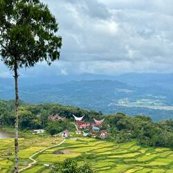 Wunderschöne Landschaft