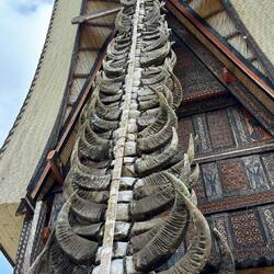 Jedes Geweih gehörte mal einem geopferten Büffel