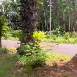 Auf dem Weg nach Satun