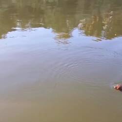 Hatten zwischendurch Besuch