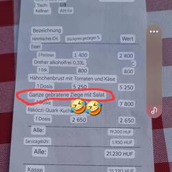 Googleübersetzer meint, das war kein Fosch, sondern eine ganze gegrillte Ziege 🐐